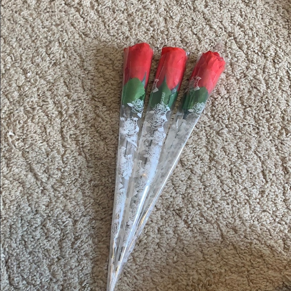 roses with underwear inside!